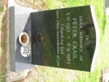 image of grave number 692138